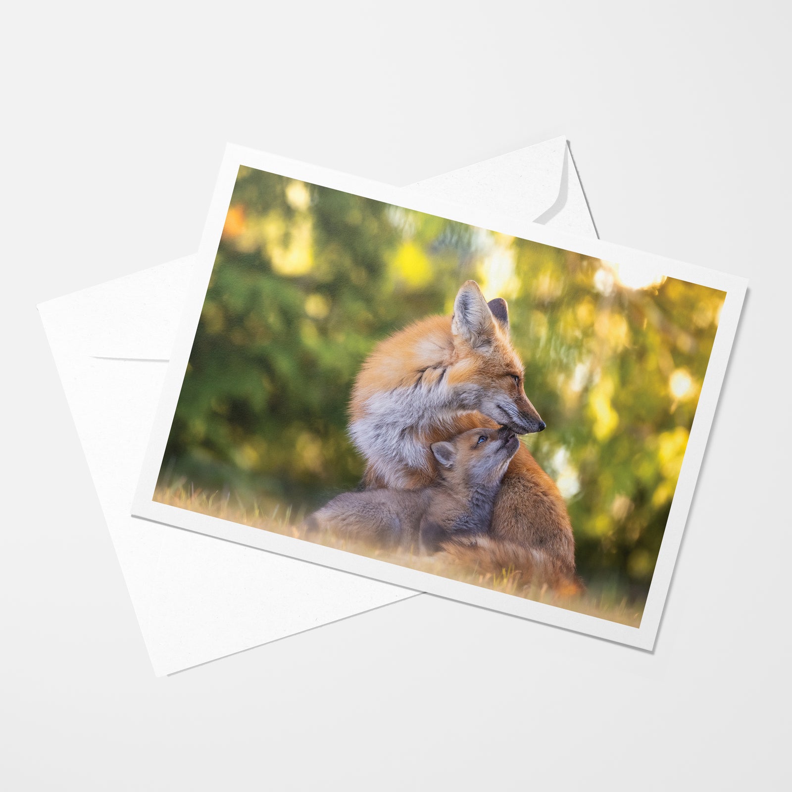 Le retour du printemps - Carte de souhaits