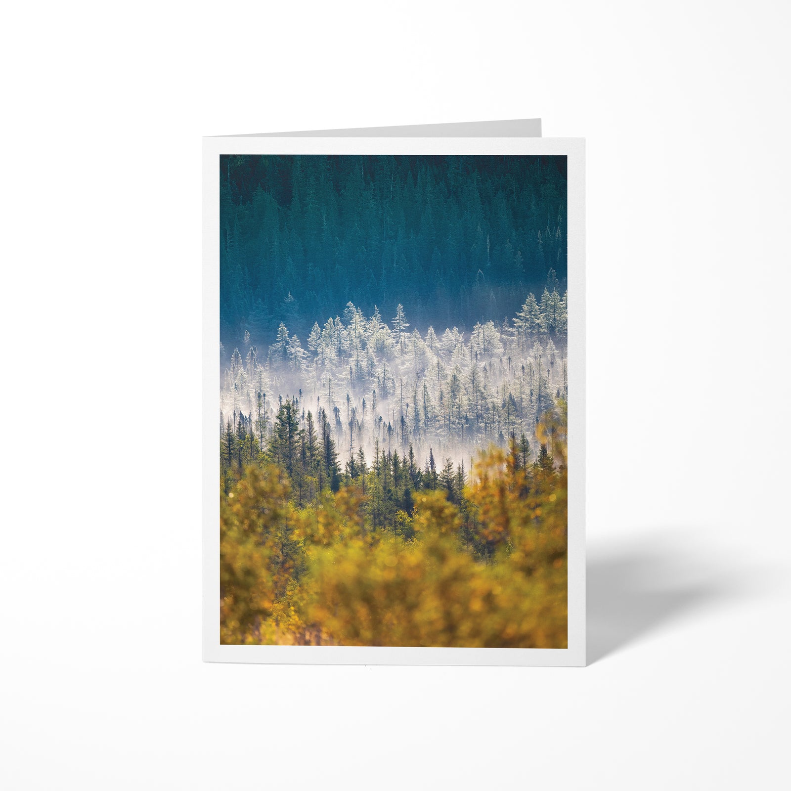 Saisons - Carte de souhaits