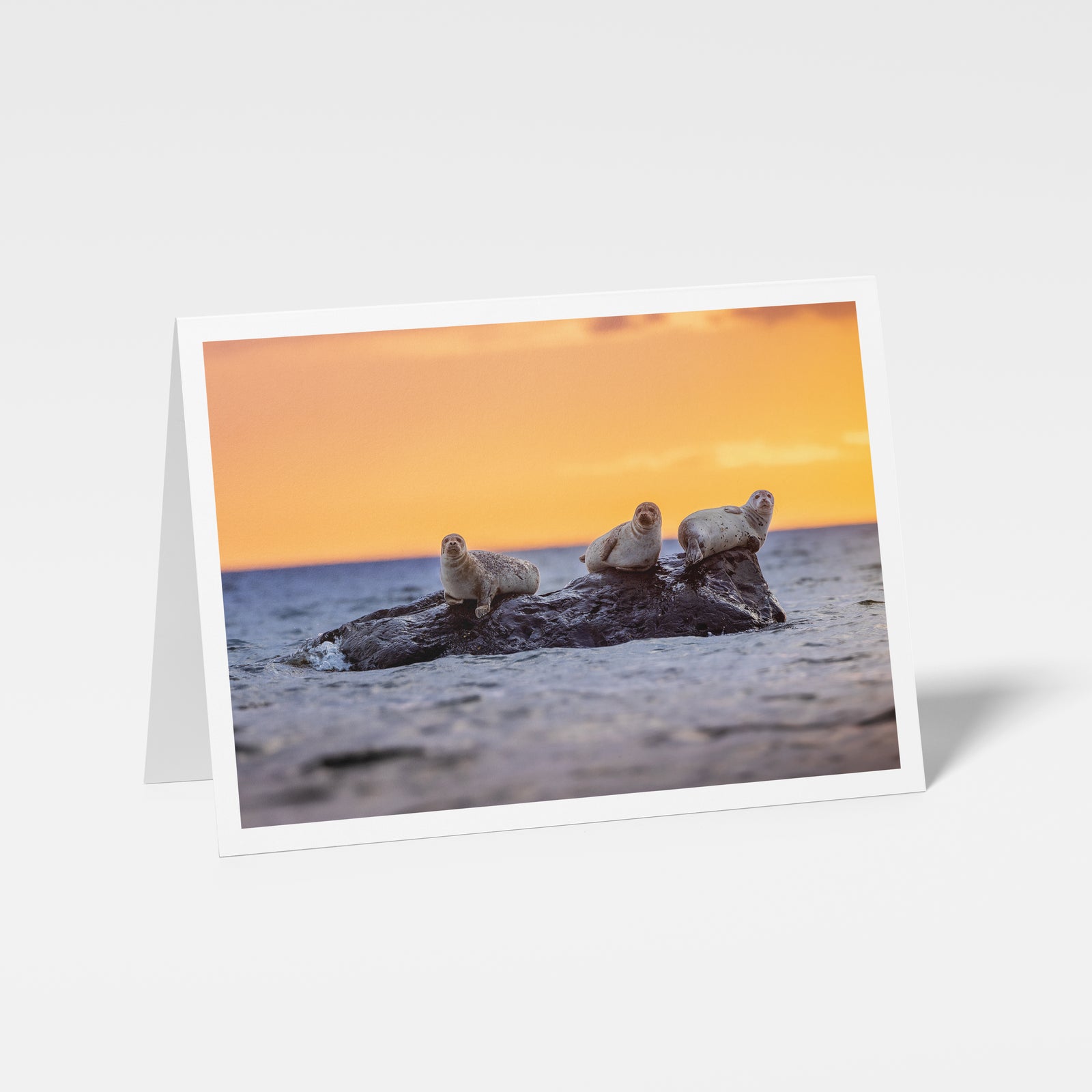 Trio de patates - Carte de souhaits