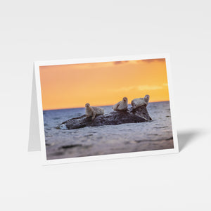 Trio de patates - Carte de souhaits