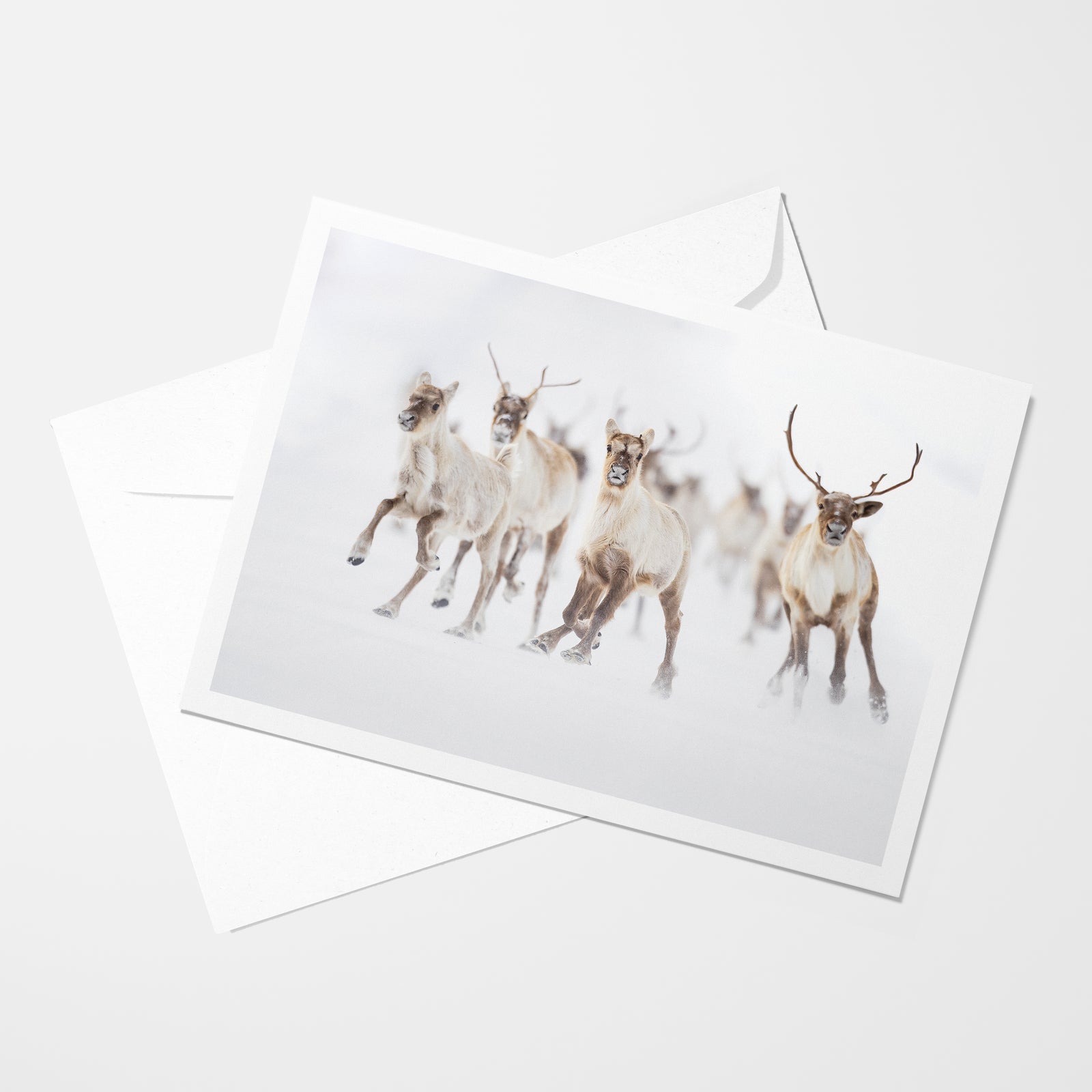 La grande course - Carte de souhaits