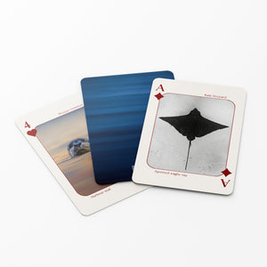Cartes à jouer - Faune