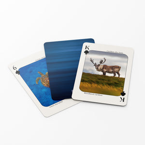 Cartes à jouer - Faune