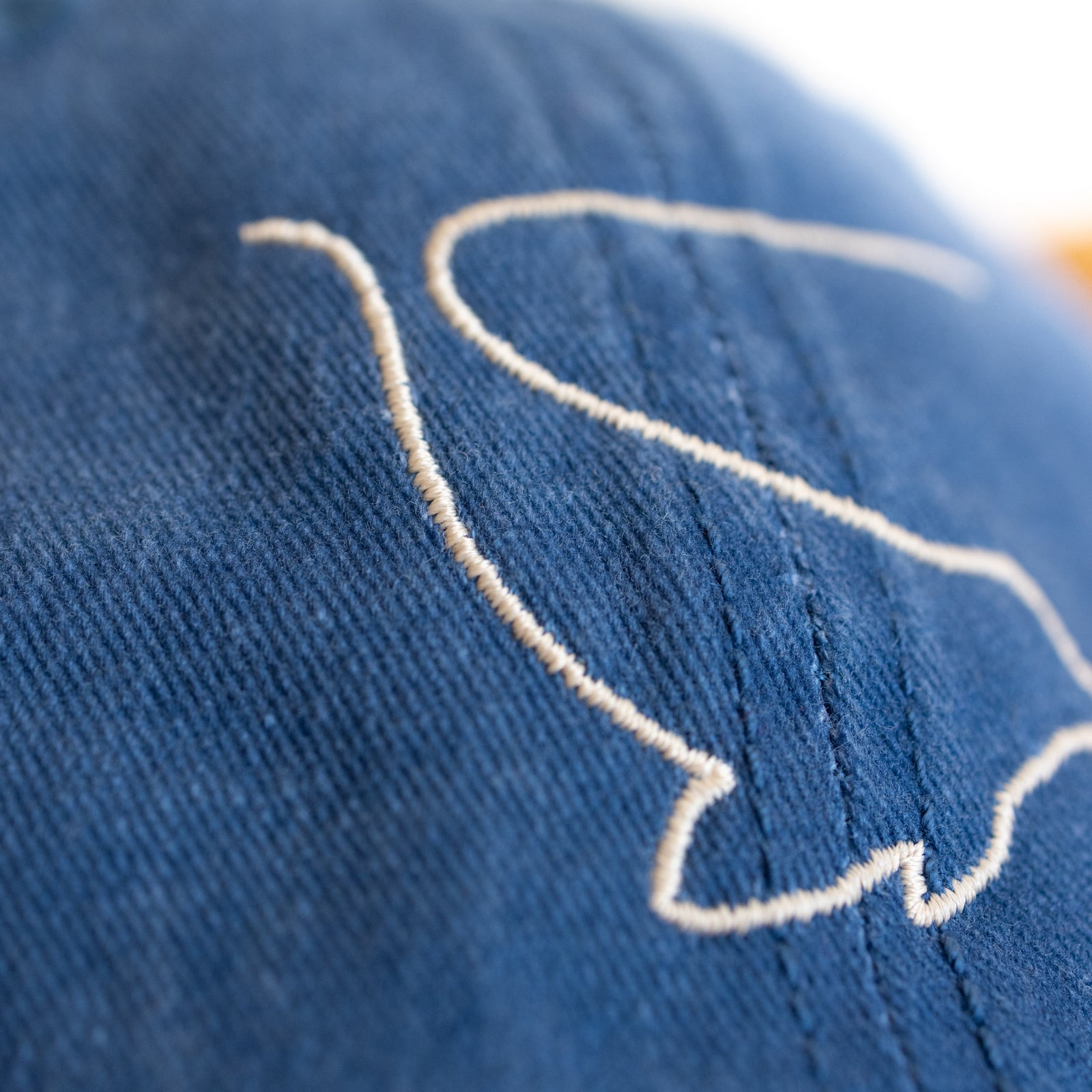 Casquette - Phoque commun