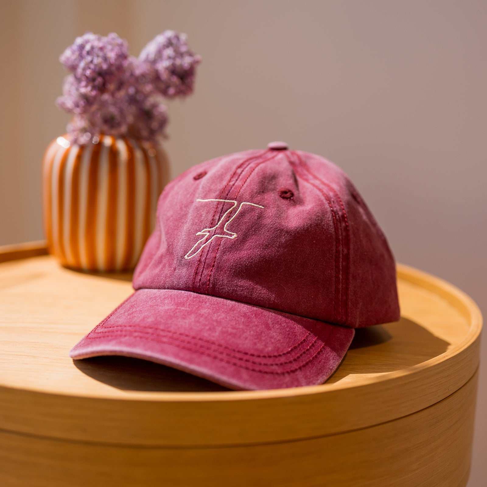 Casquette - Fou de Bassan