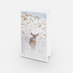 In the snowy bushes - Greeting card