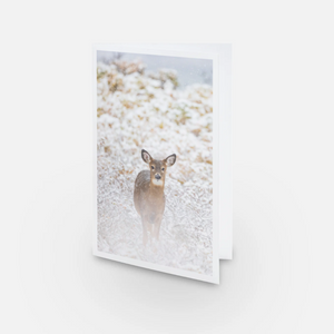 Set of greeting cards (15) - Mixed