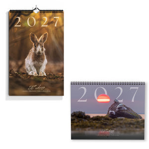 Calendars 2027 combo - limited + classic