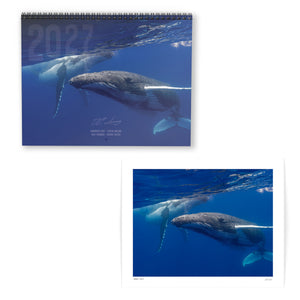 Special edition 2027 calendar + 8x10 inch fine art print combo