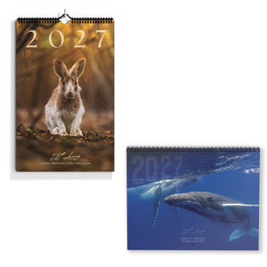 Calendars 2027 combo - limited + special edition