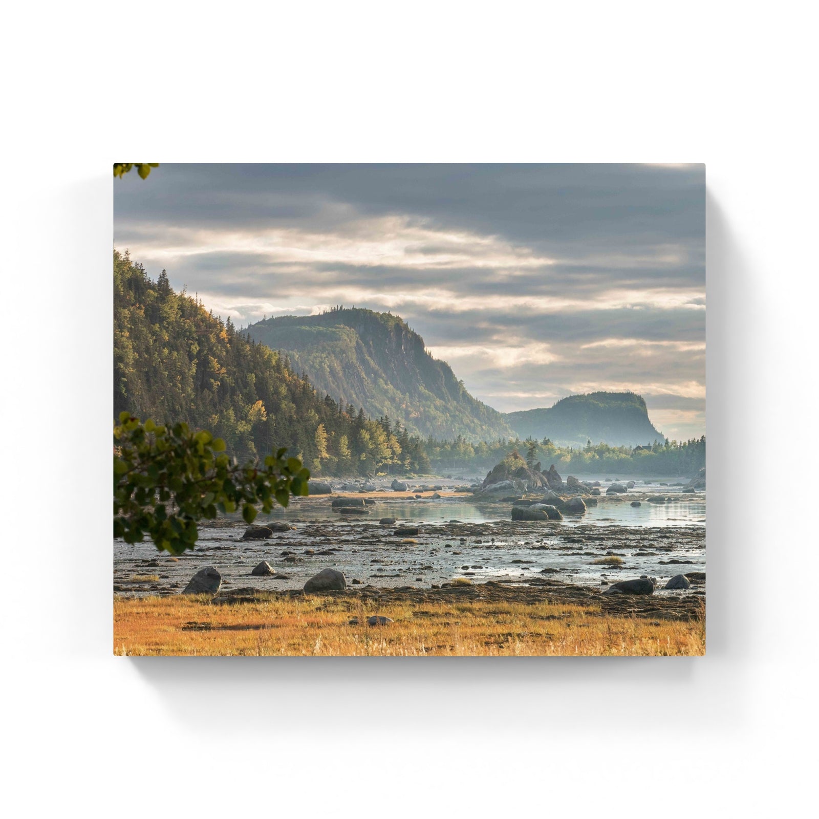 Pointe aux Épinettes - Canvas