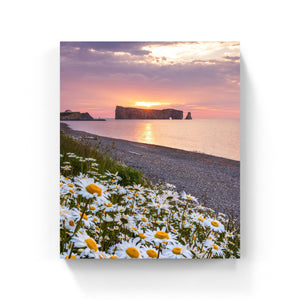 Rocher Percé X Marguerites - Canvas