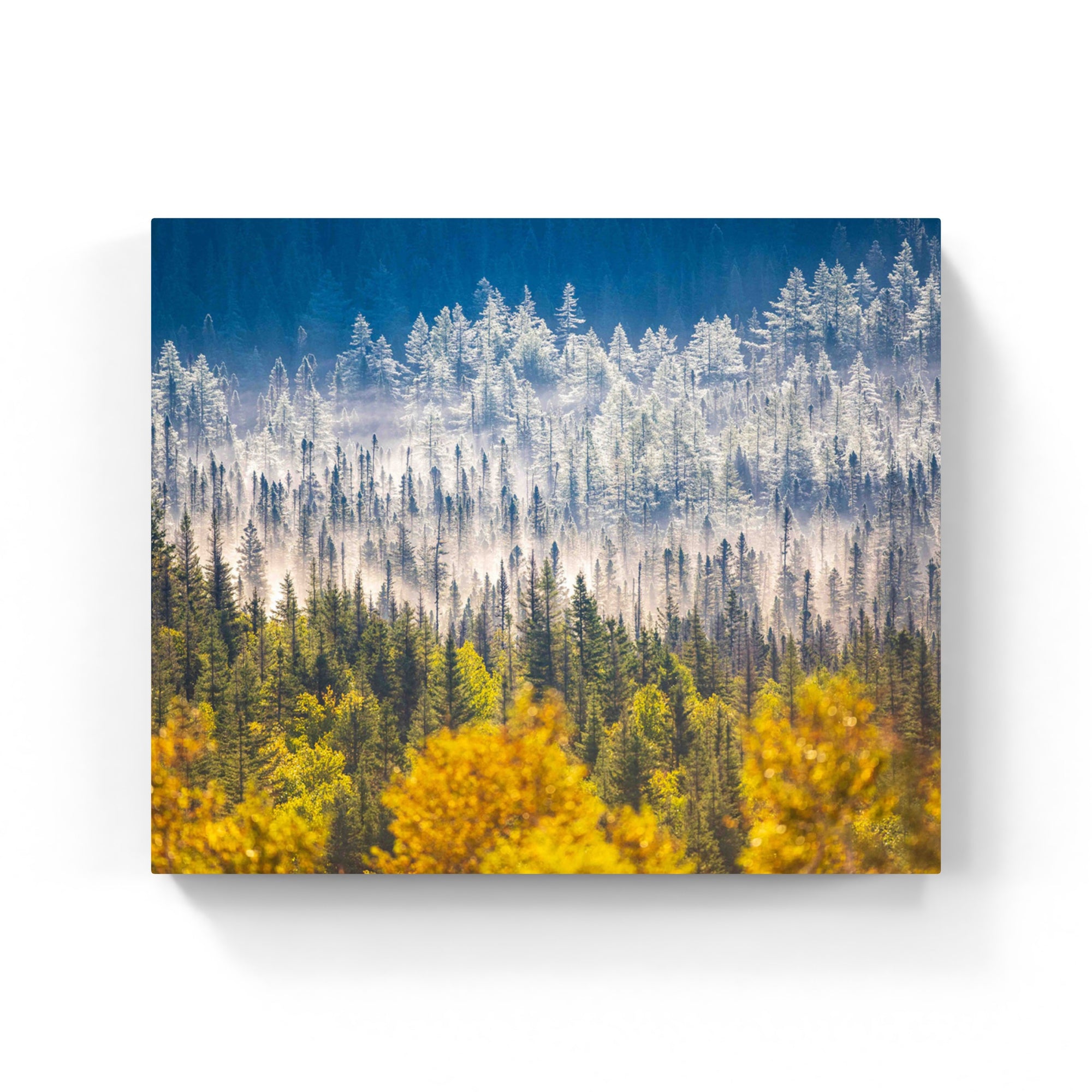 Saisons - Canvas