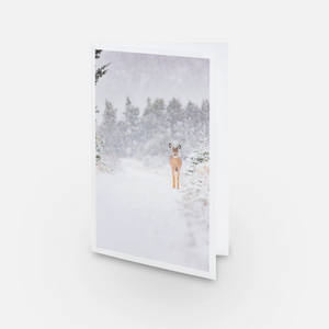 Set of greeting cards (5) - Deers under the snow