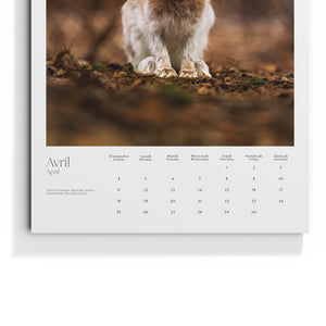 Calendrier 2027 - édition limitée