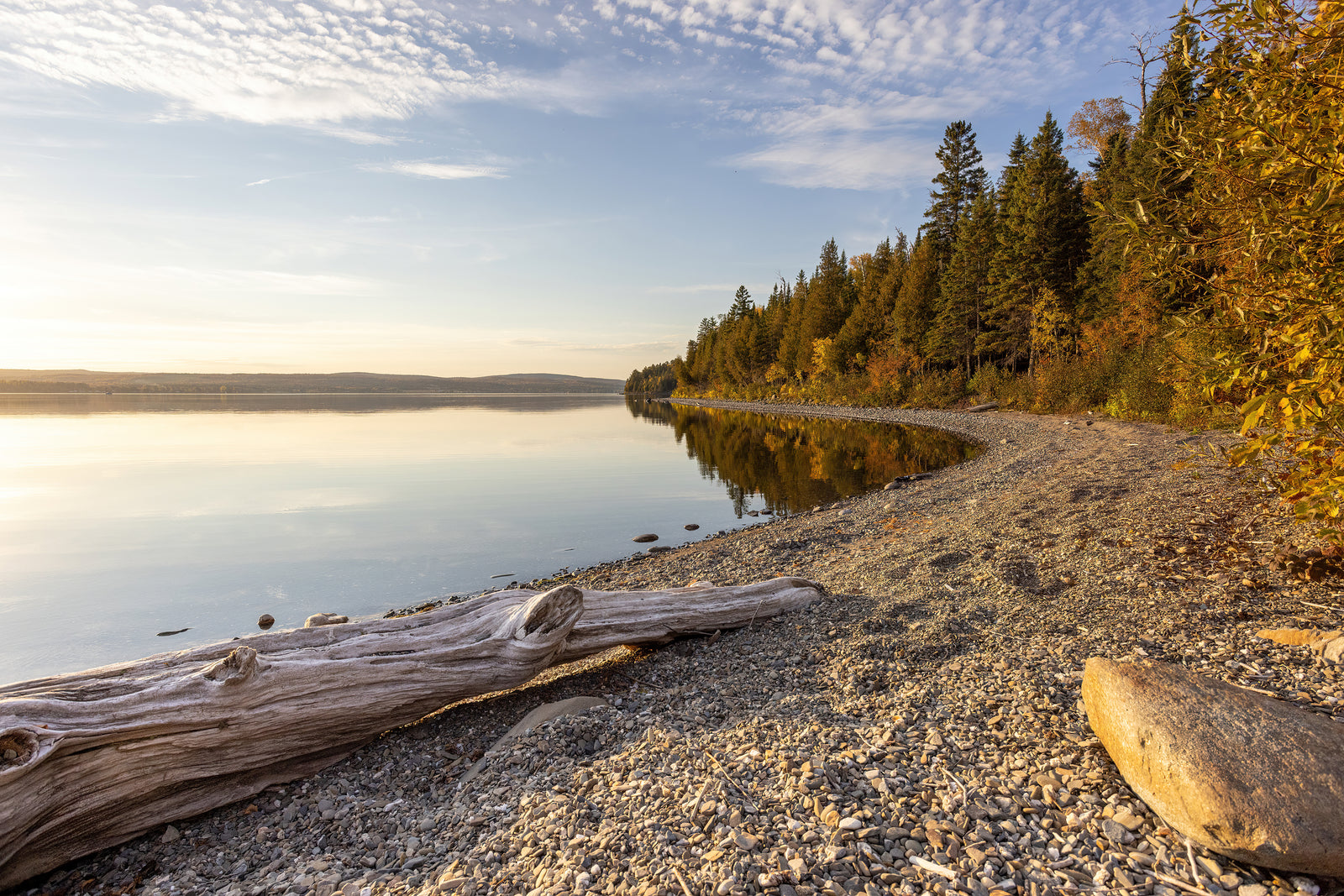 In front of the lake