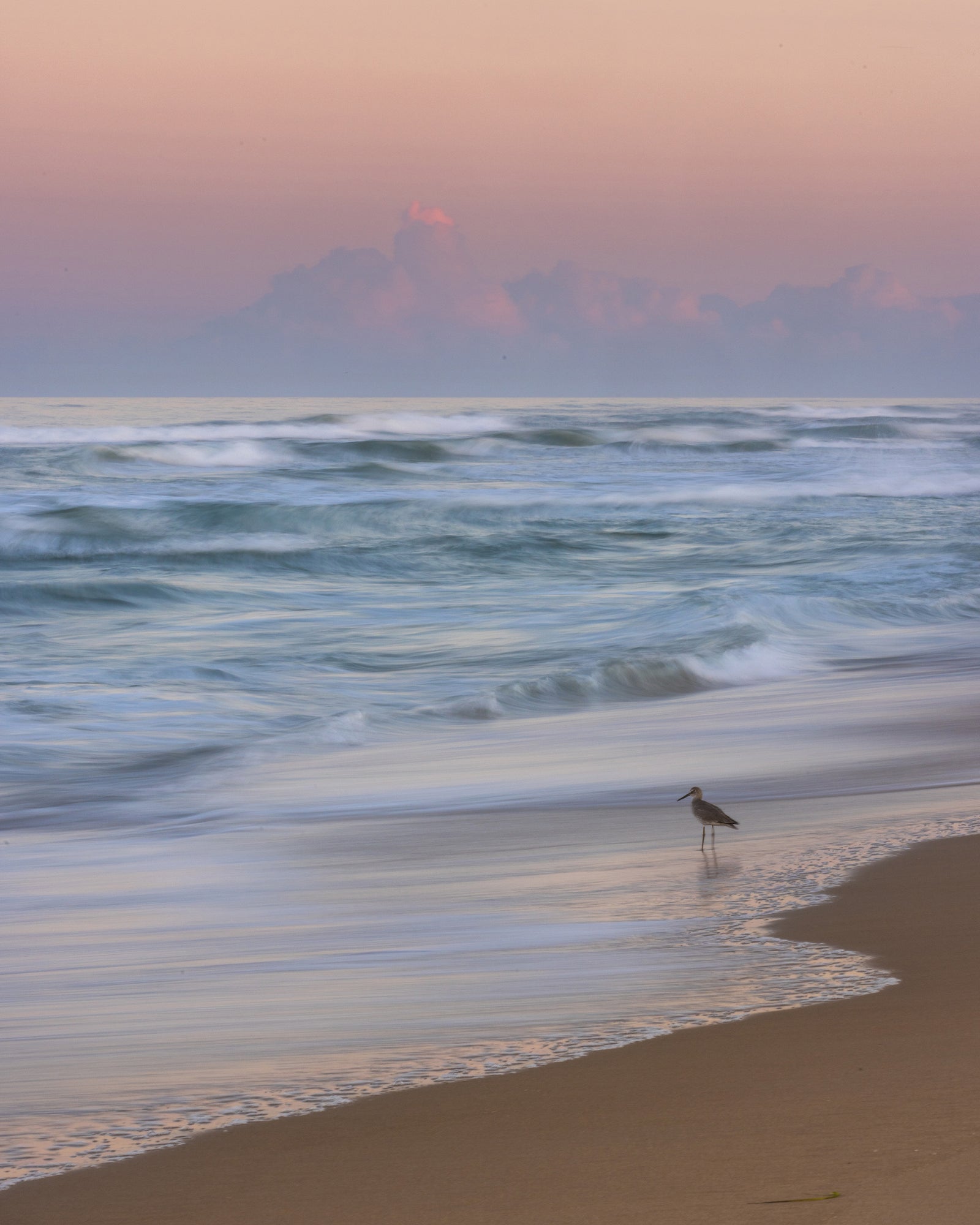 In front of the waves