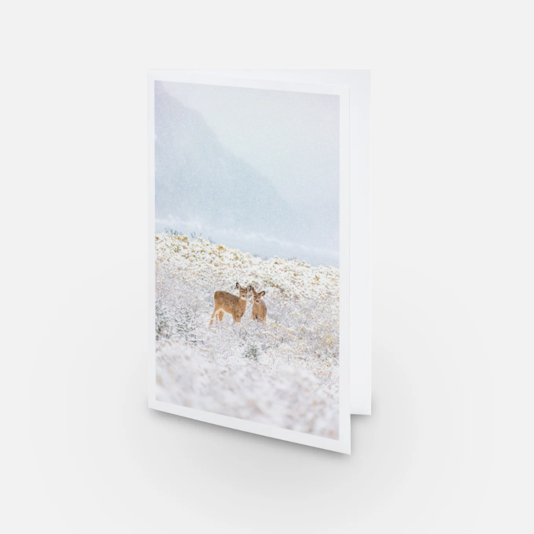 Duo de jeunes cerfs - Carte de souhaits