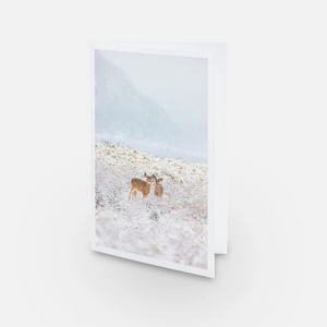 Set of greeting cards (15) - Mixed