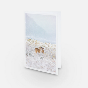 Set of greeting cards (5) - Deers under the snow