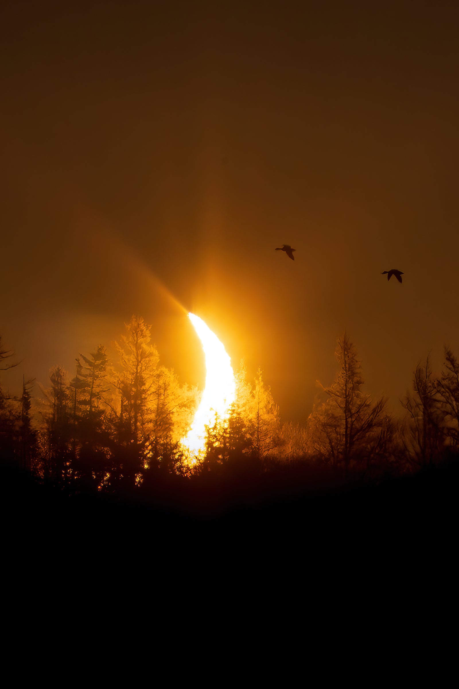 Soleil, lune, oiseaux