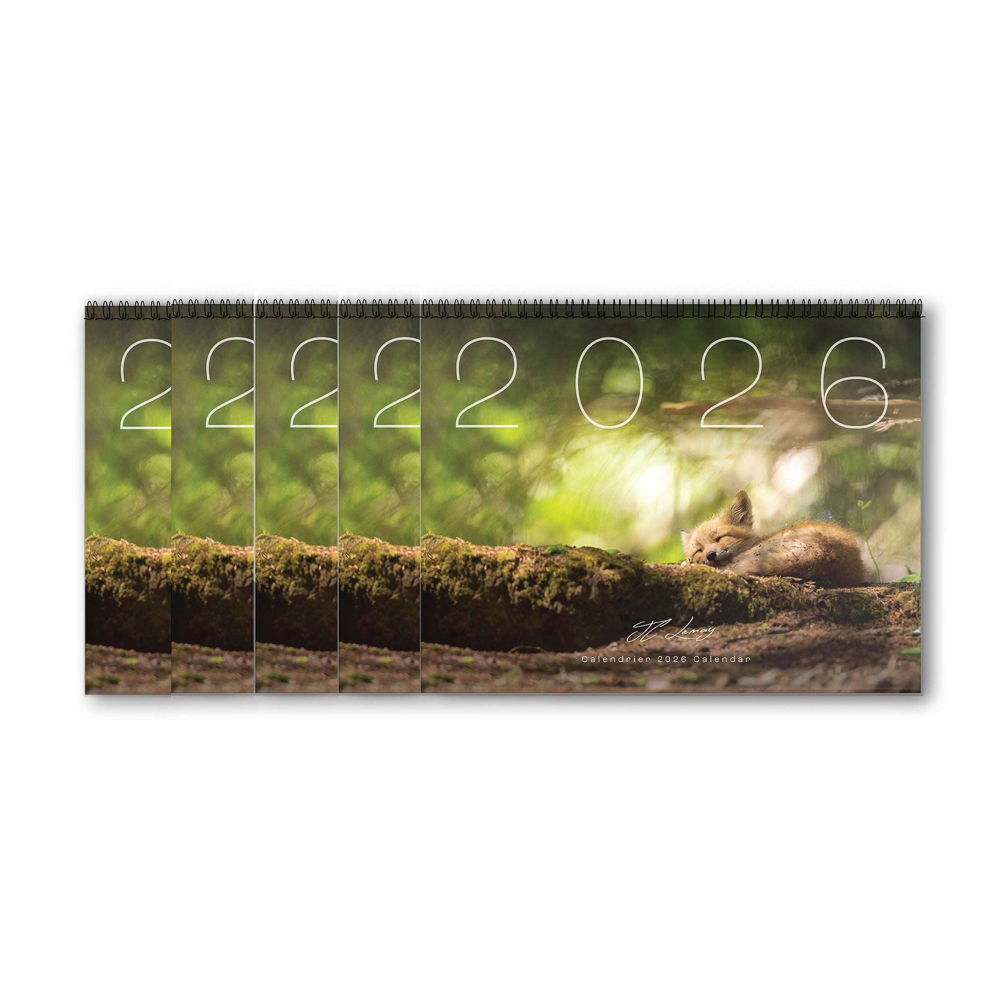 Calendar gift set (5)