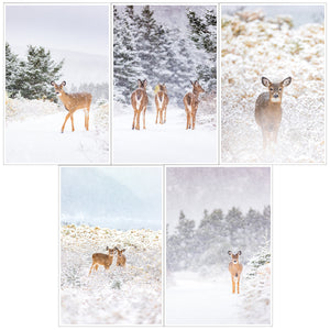 Ensemble de cartes de souhaits (5) - Cerfs sous la neige