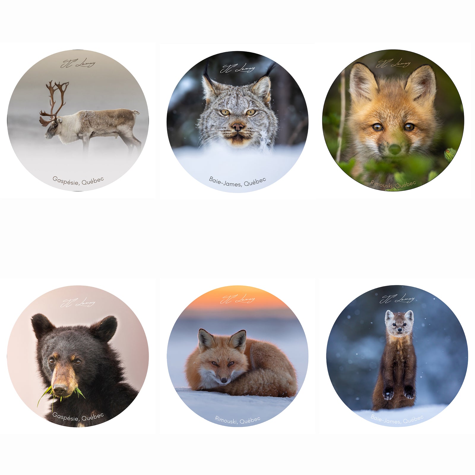 Autocollants - Ensemble terre (6)