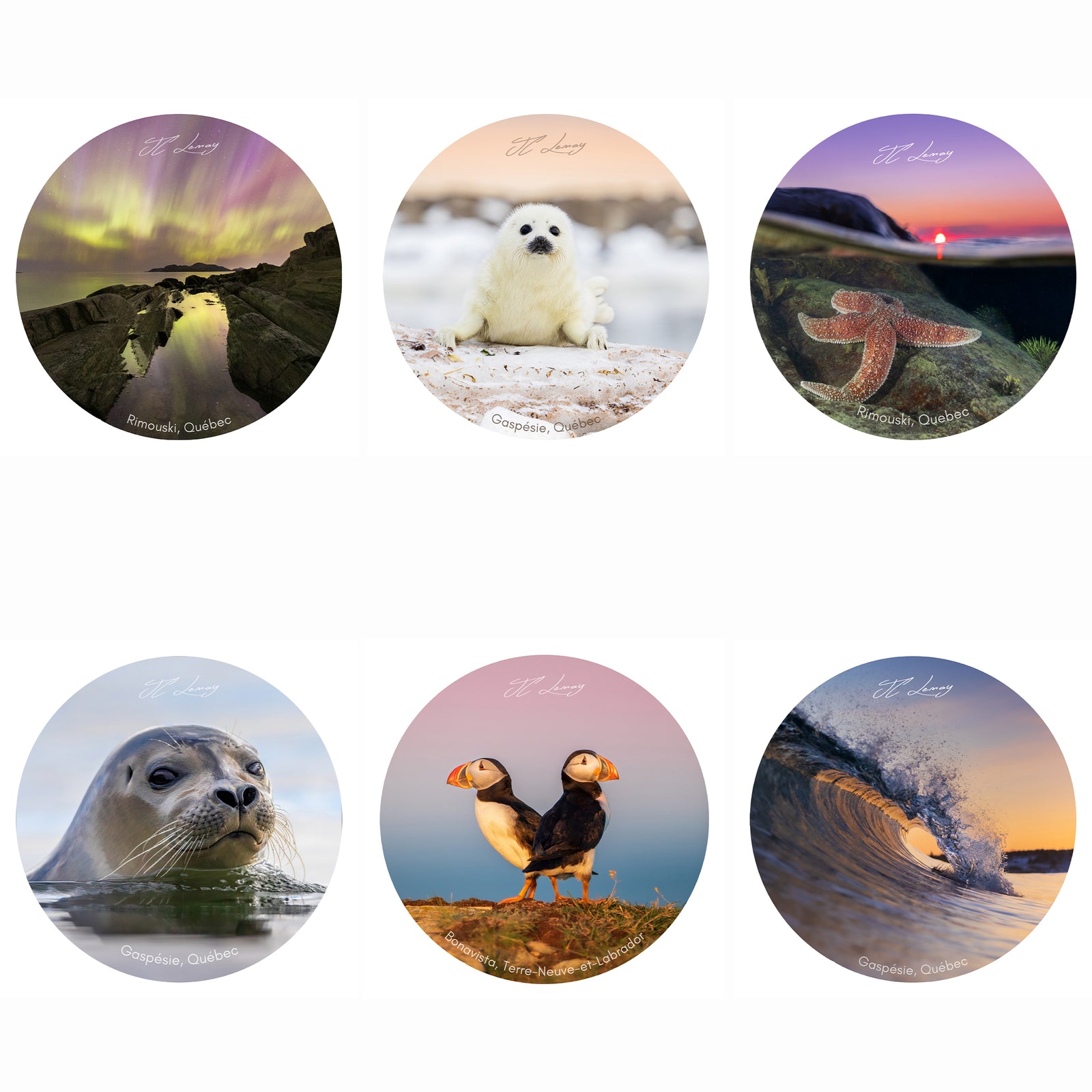 Autocollants - Ensemble mer (6)