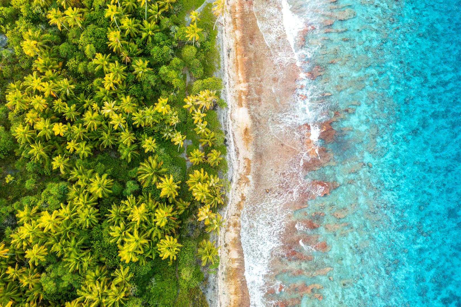 Between sea and palm trees