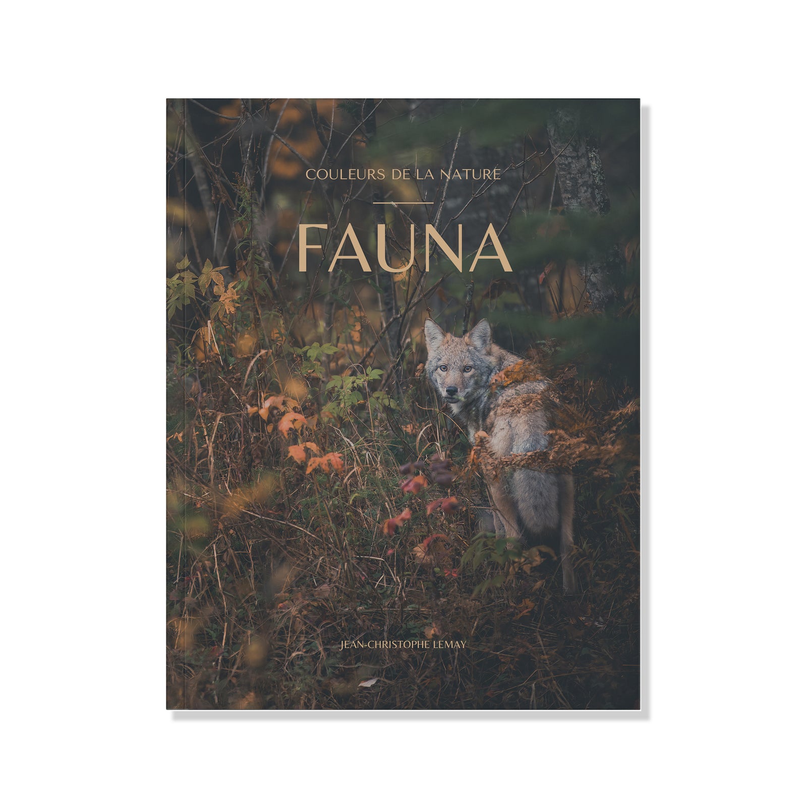 Livre - Couleurs de la nature - FAUNA