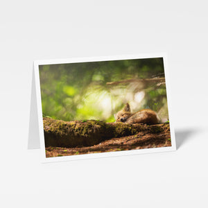 Magical forest - Greeting card