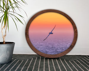 Fou de Bassan - cadre rond en bois massif (24 pouces)