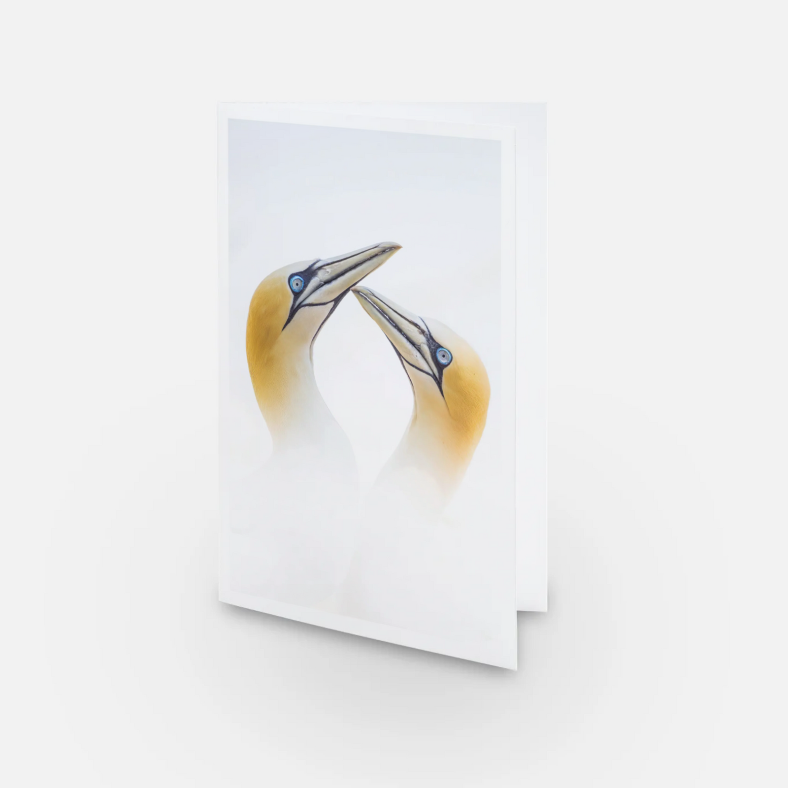 Fous dans un nuage - carte de souhaits