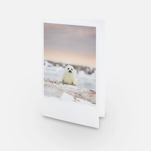 Set of greeting cards (5) - Winter