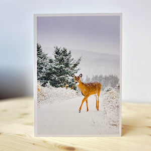 Under the snowflakes - Greeting Card