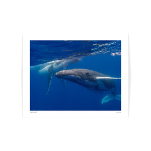 Special edition 2027 calendar + 8x10 inch fine art print combo