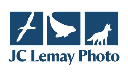 JC Lemay Photo