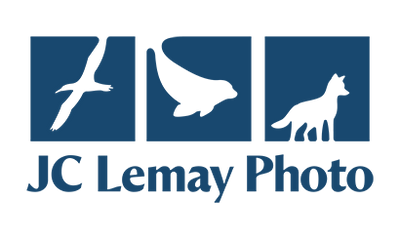 JC Lemay Photo