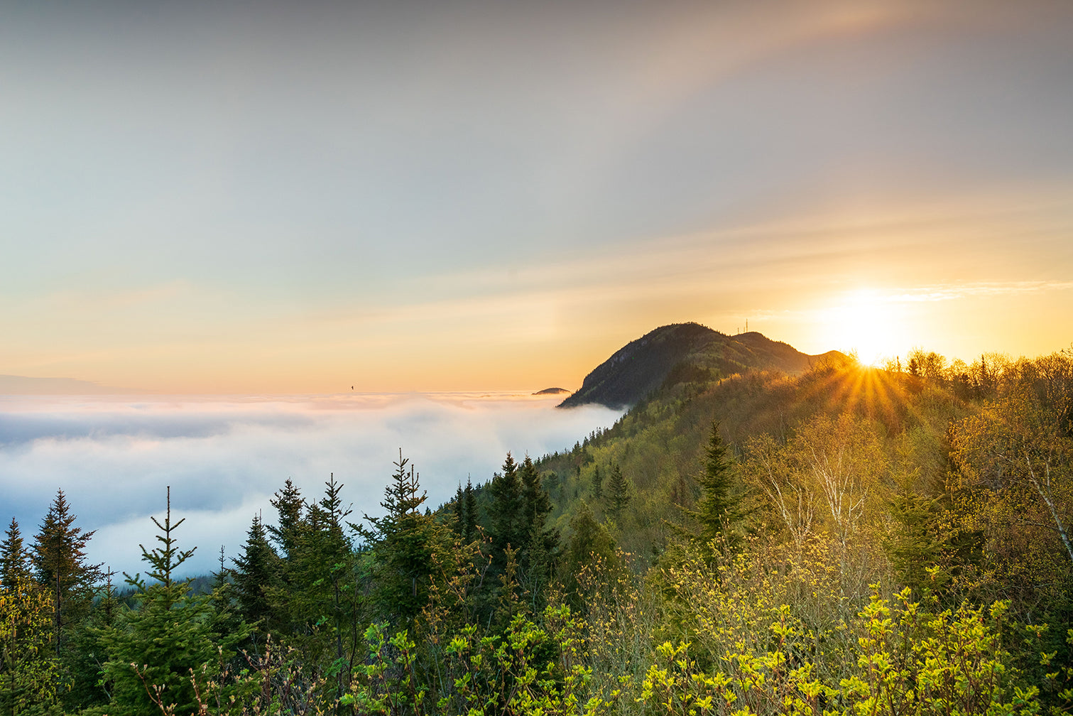 Foggy Bic mountains