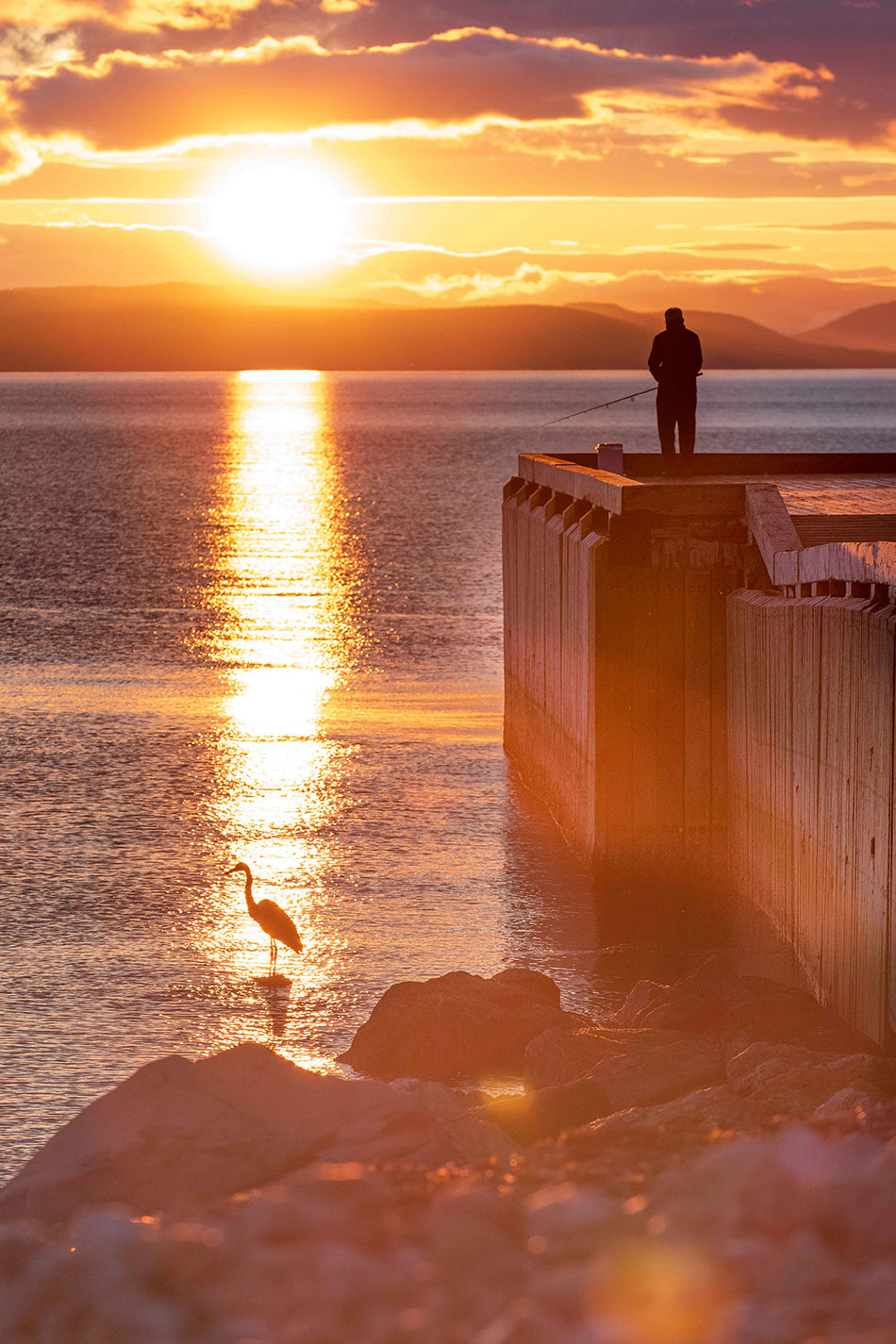 The Heron Fisherman
