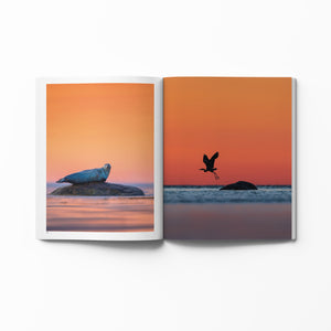 Book - Colours of nature - FAUNA