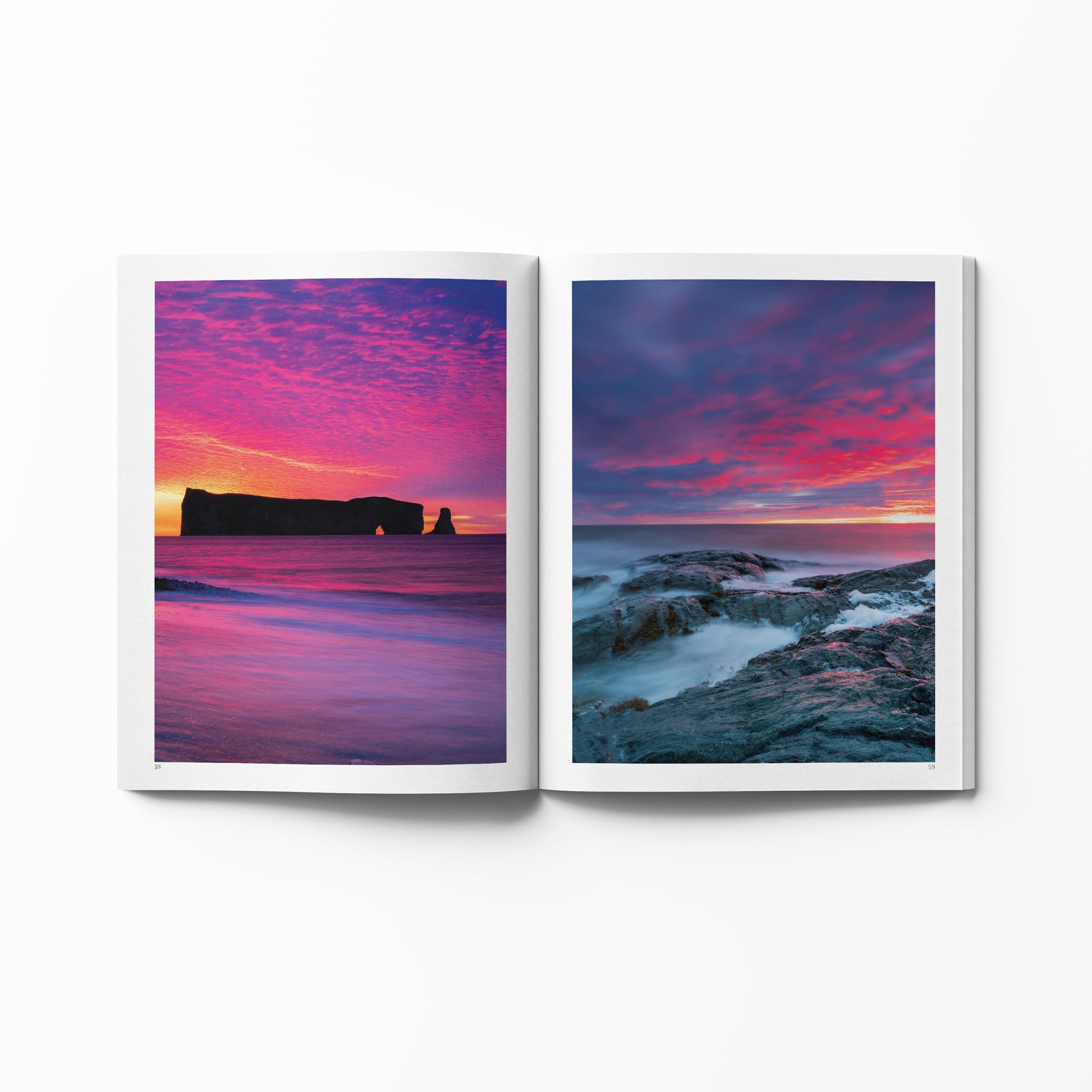 Livre - Couleurs de la nature - TERRA