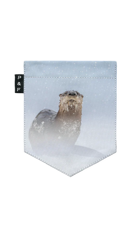 T-Shirt (2-6 ans) - Loutre and Larry Adjust