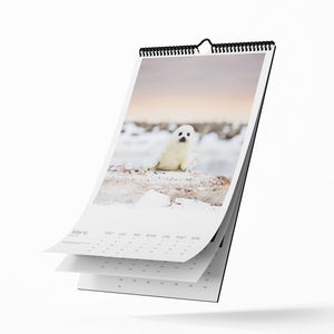 Calendar 2026 - limited edition