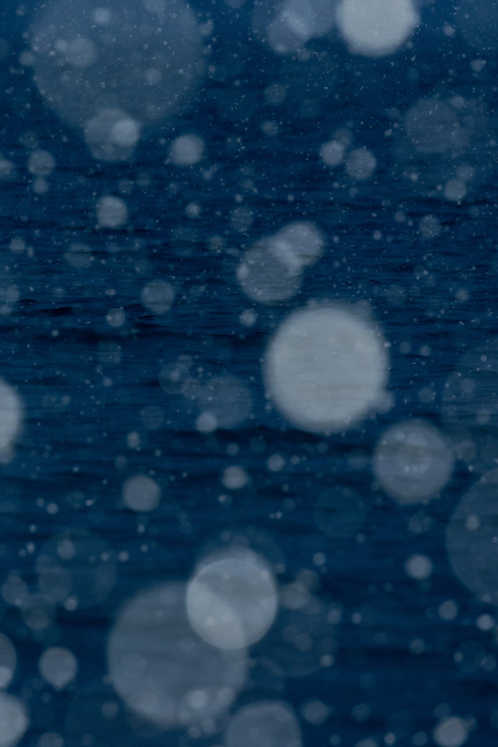 Snow X Saint-Laurent