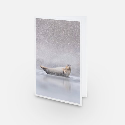 Neige d'avril - Carte de souhaits