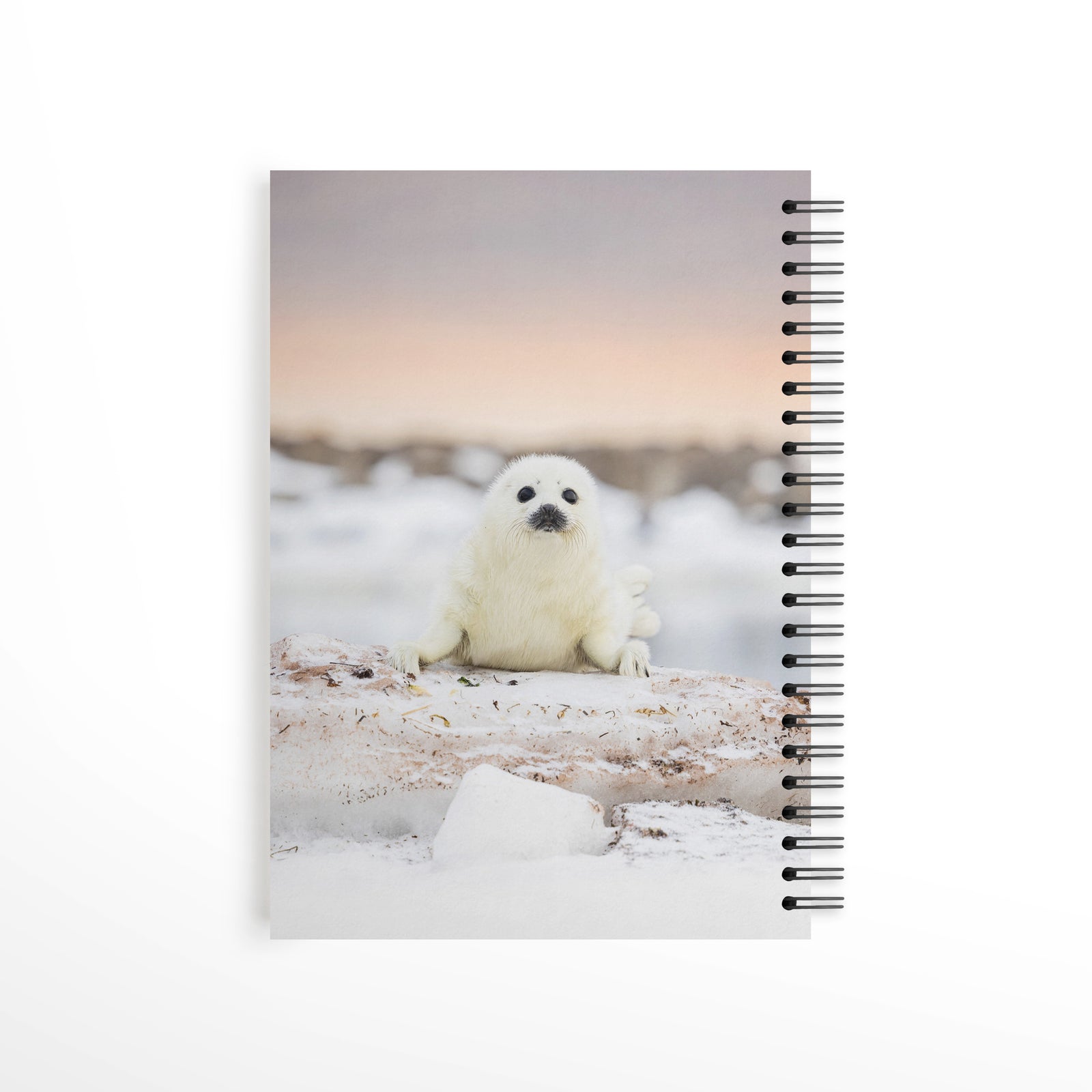 Falaise des Fous - Notebook