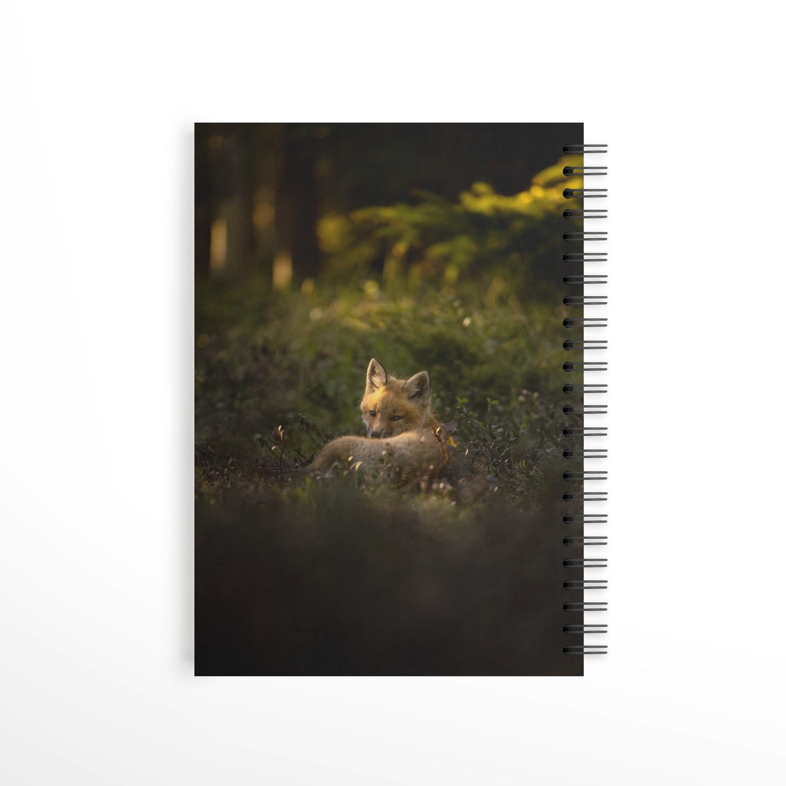 Ray of light - Notebook