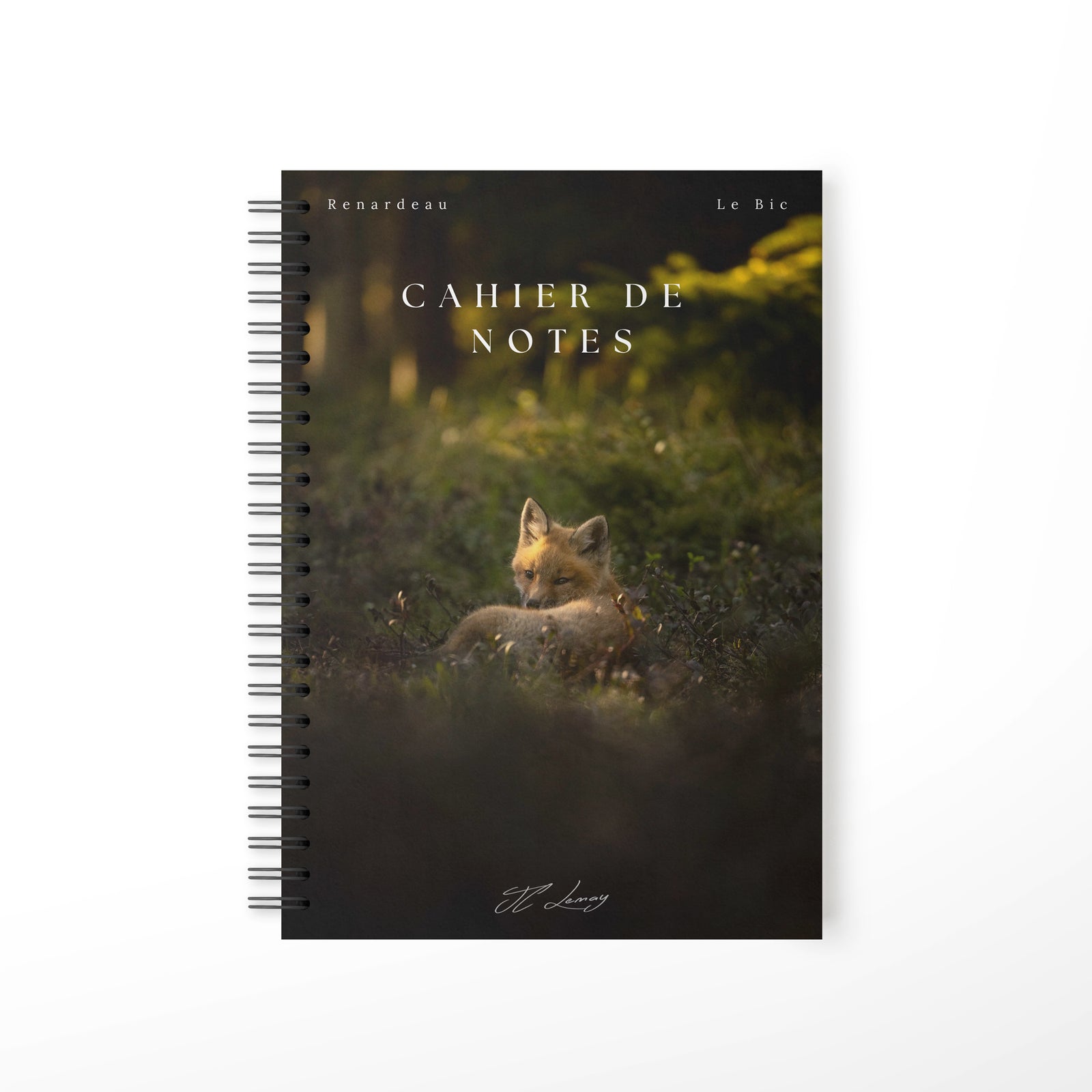 Ray of light - Notebook